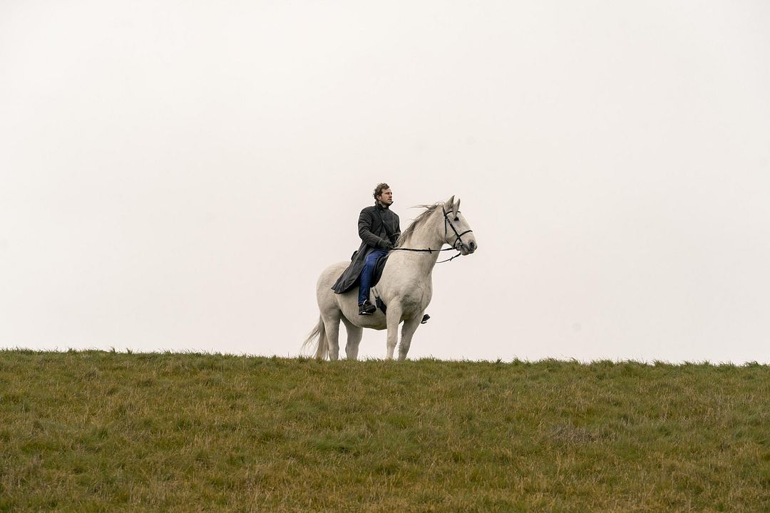 Der Schimmelreiter : Bild