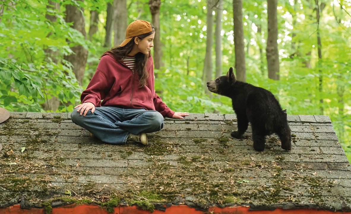 Melody For A Bear  : Bild Eva Cinq-Mars