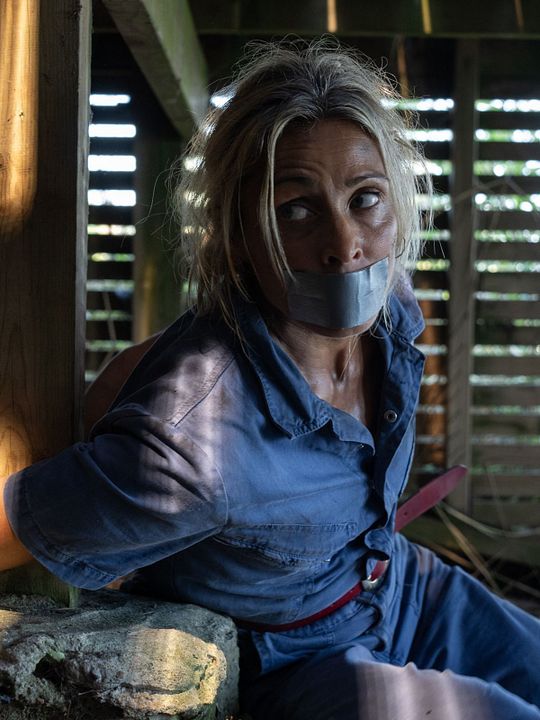 Dan Sommerdahl - Tödliche Idylle: Wo ist Marianne? : Kinoposter