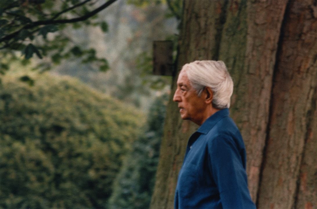 Krishnamurti, die Revolution der Stille : Bild