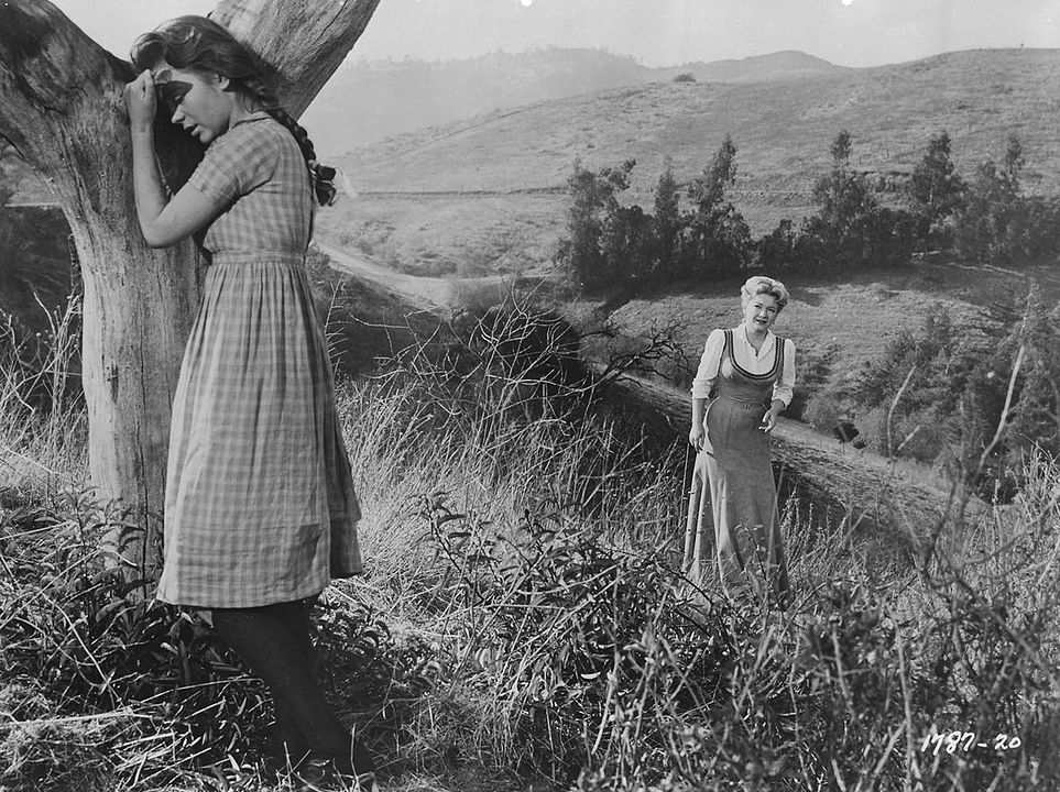 Und wäre die Liebe nicht... : Bild