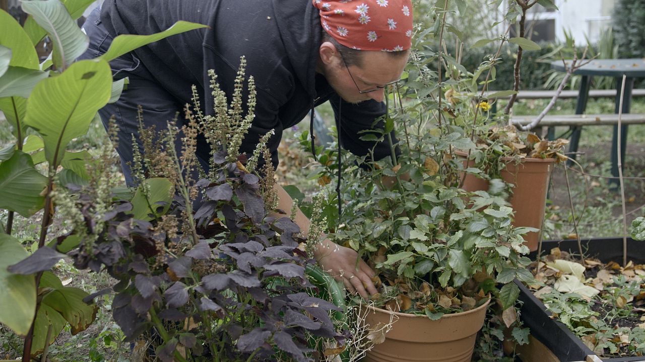 Privileg : Bild Henri Vogel