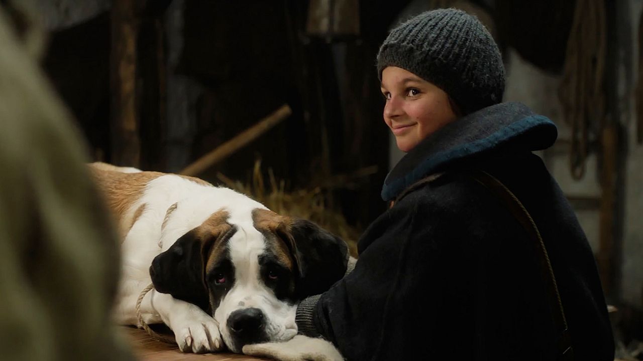 Mein Freund Barry : Bild