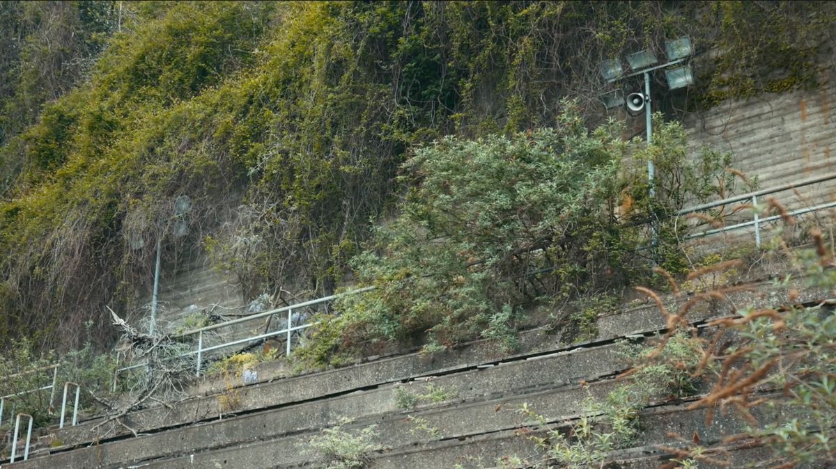 Architektur des Glücks : Bild