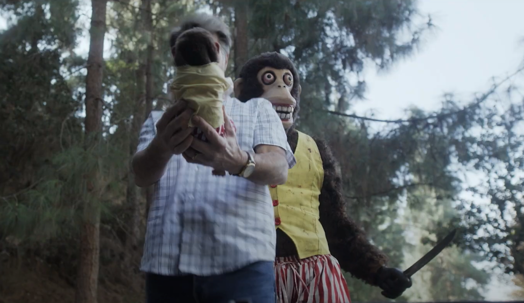 The Jolly Monkey : Bild