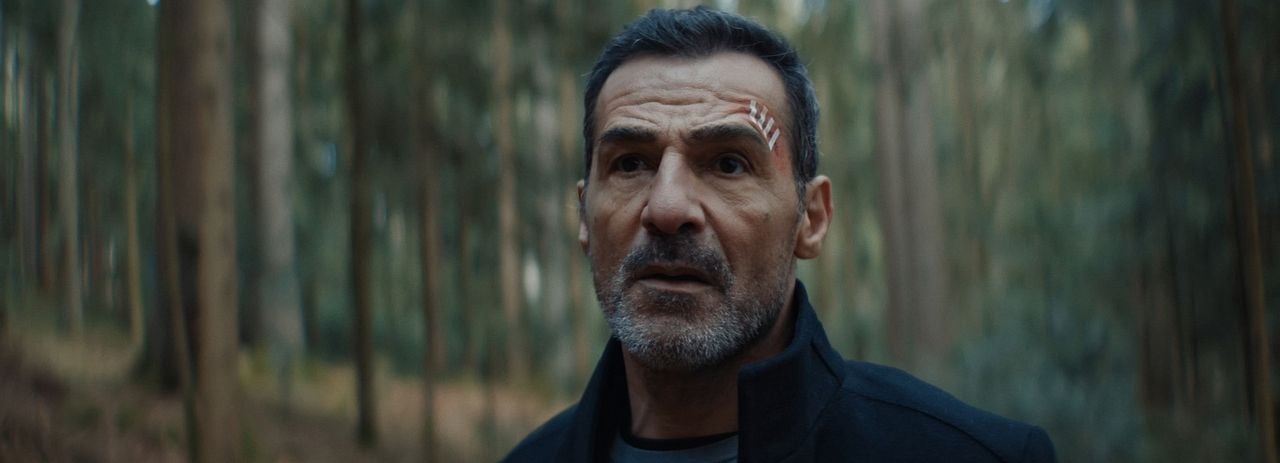 Im Zeichen des Drachen : Bild Erol Sander