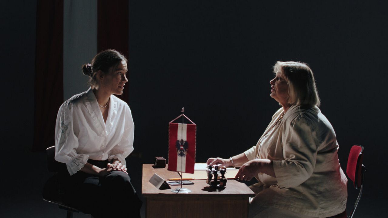 Noch lange keine Lipizzaner : Bild