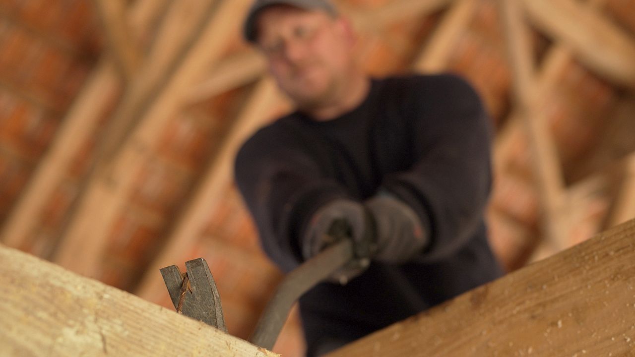 Fanni – Oder: Wie rettet man ein Wirtshaus? : Bild