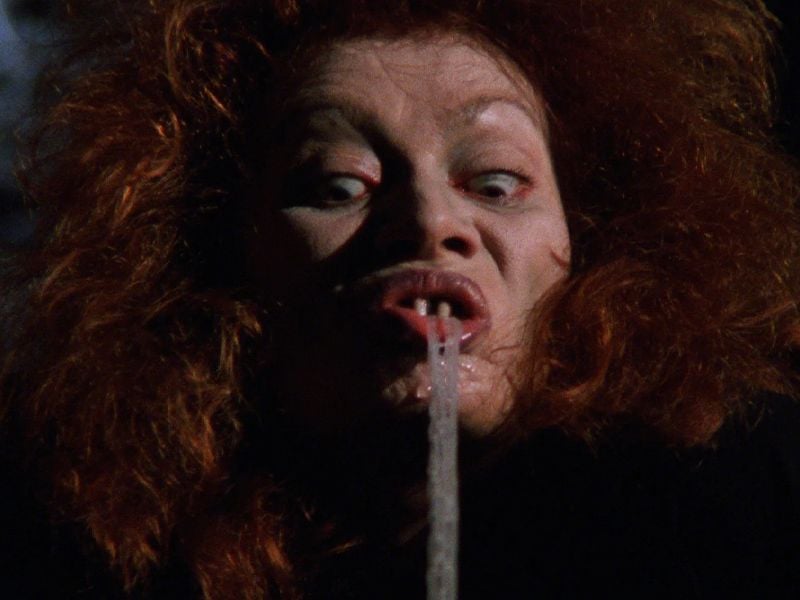 Spider Labyrinth - In den Fängen der Todestarantel : Bild Paola Rinaldi