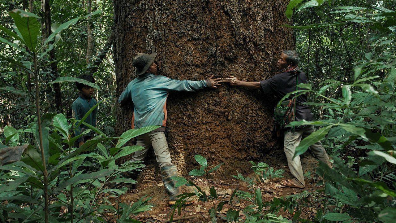 We Are The Fruits Of The Forest : Bild