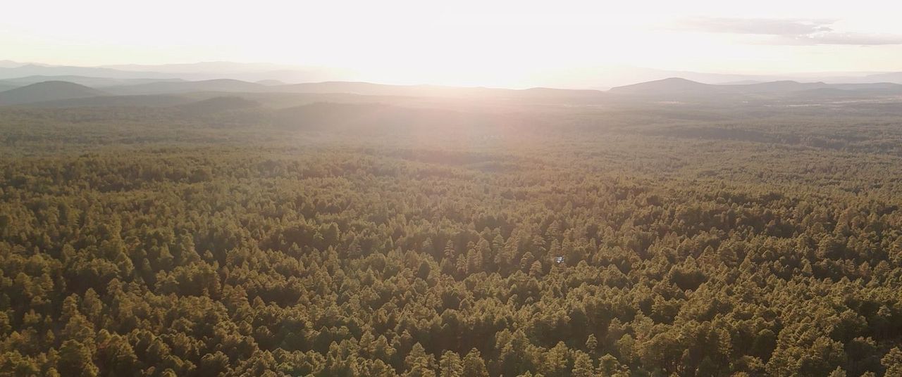 Lookout - Der Turm : Bild