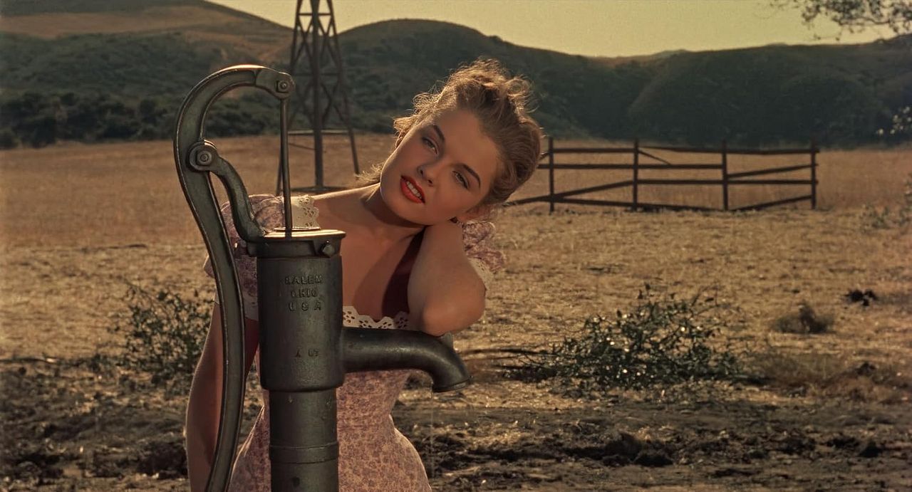 Joe Dakota - Ein Toter kommt zurück : Bild