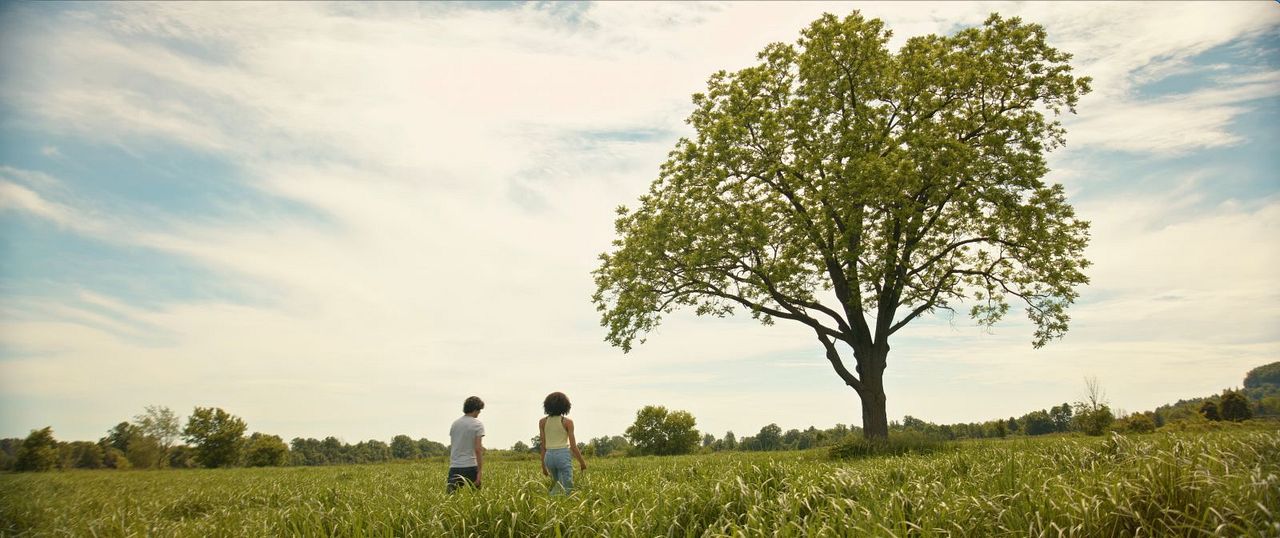 How We Ended Us - Das Böse wird entfesselt : Bild