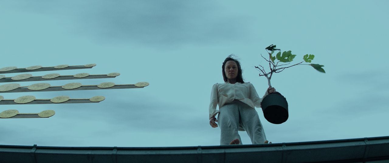 Chaos und Stille : Bild Sabine Timoteo