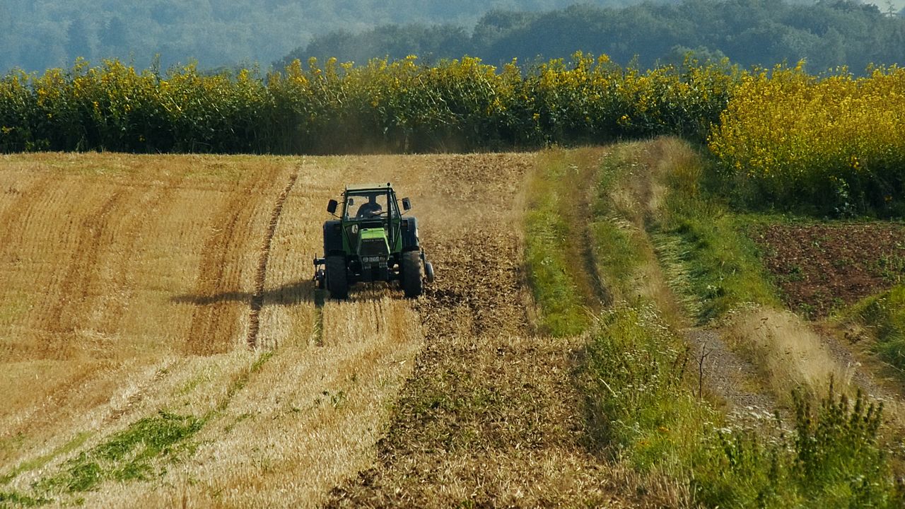 Ehrenamt - Eine Kulturreise im ländlichen Raum : Bild