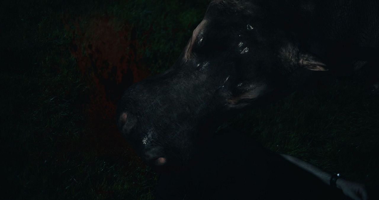 Hippo's Revenge - Drei Tonnen Zorn : Bild
