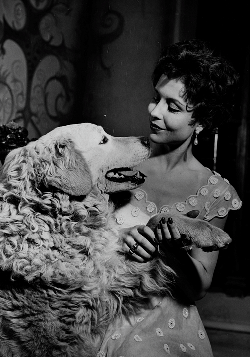 Meine Schwester und ich : Bild Sonja Ziemann