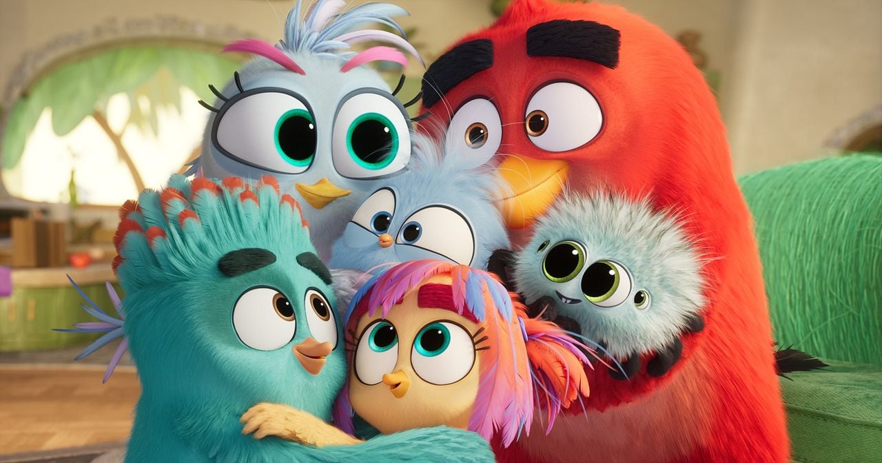 The Angry Birds 3 - Der Film : Bild