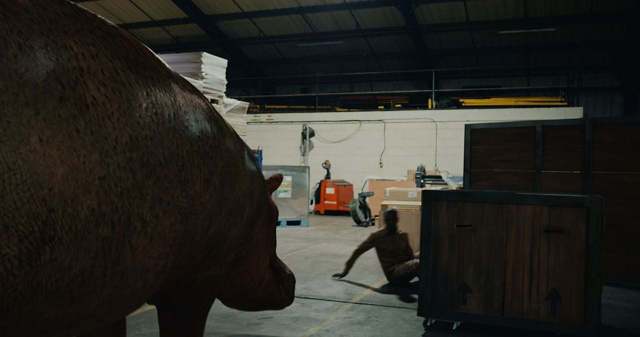 Hippo's Revenge - Drei Tonnen Zorn : Bild
