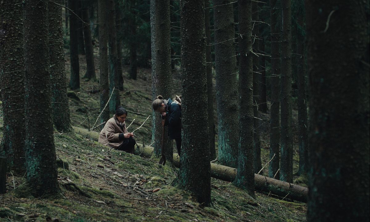 Ein schöner Ort : Bild