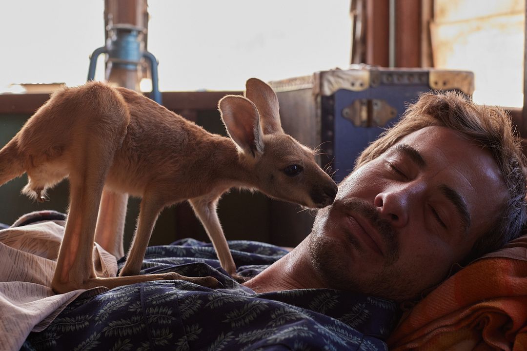 Lilly und die Kängurus : Bild