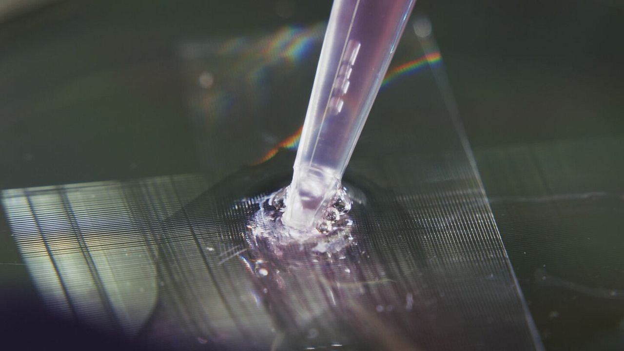 Future Science - Das Ende der Tierversuche? : Bild