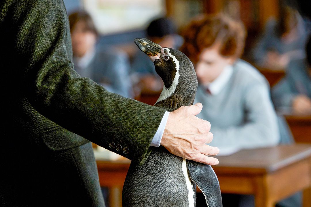 Der Pinguin meines Lebens : Bild Baba and Richard , Steve Coogan