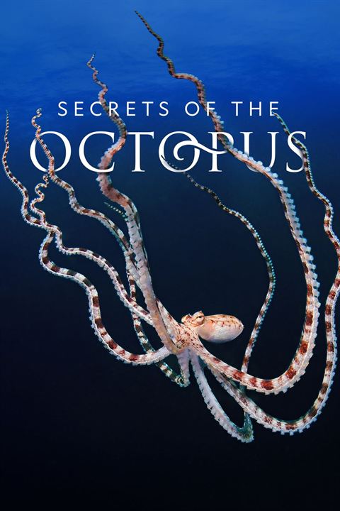 Die geheimnisvolle Welt der Oktopusse : Kinoposter