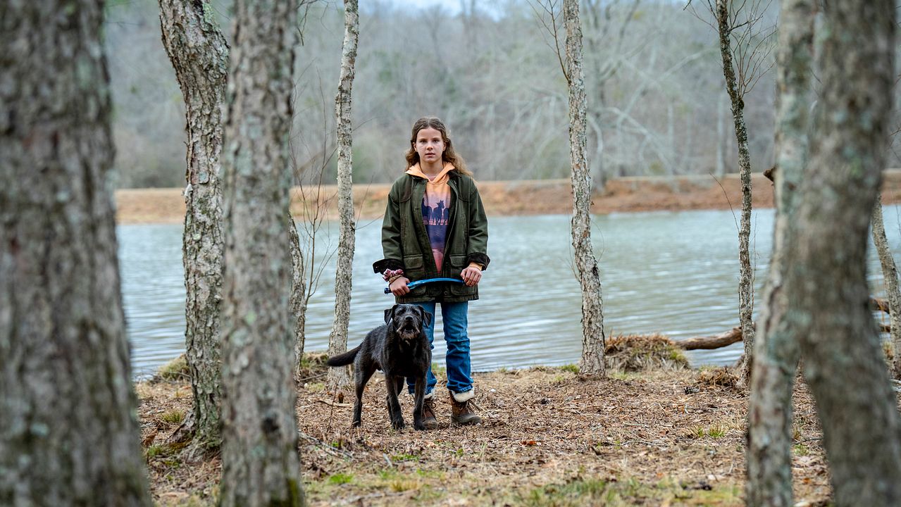 The Rescue : Bild Lorelei Olivia Mote