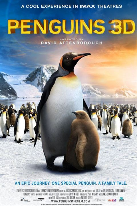 Adventures Of The Penguin King : Kinoposter