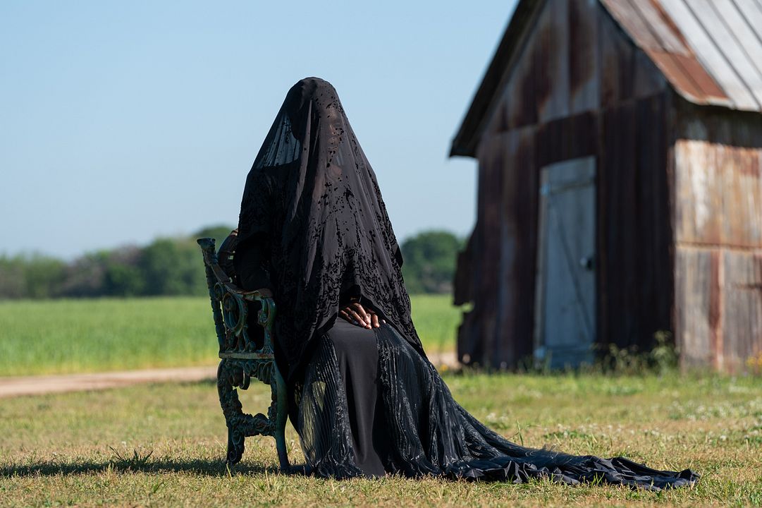 The Woman In The Yard : Bild