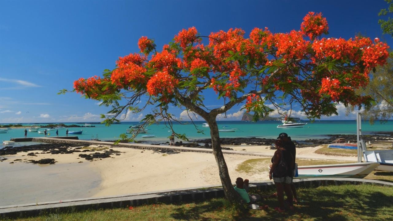 Mauritius - Die Fernwehmacher unterwegs im Tropenparadies : Bild