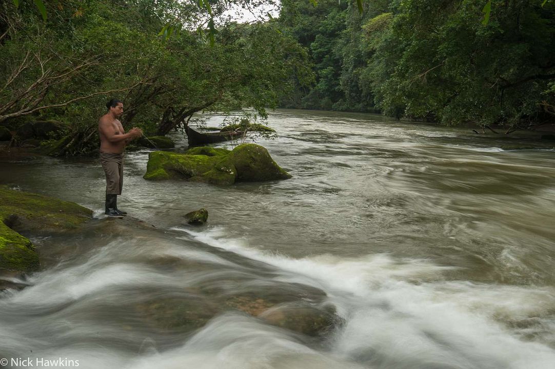 Patrol – Auf Patrouille durch den Regenwald : Bild