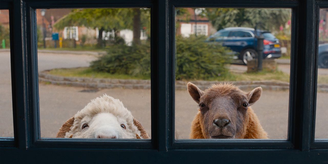 Glennkill: Ein Schafskrimi : Bild