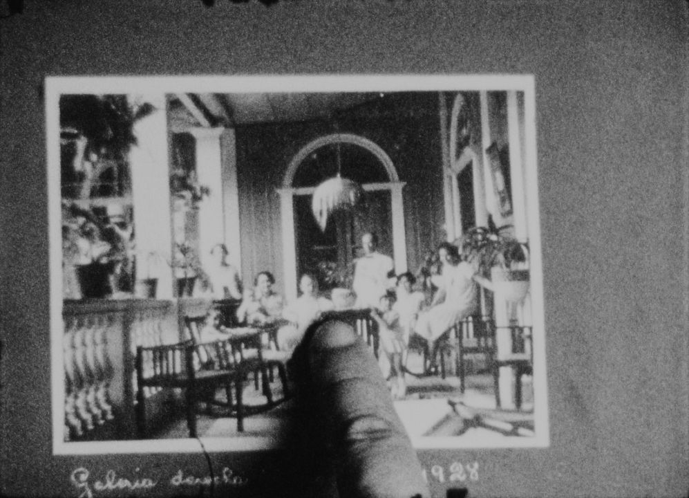 The Memory Of Butterflies : Bild