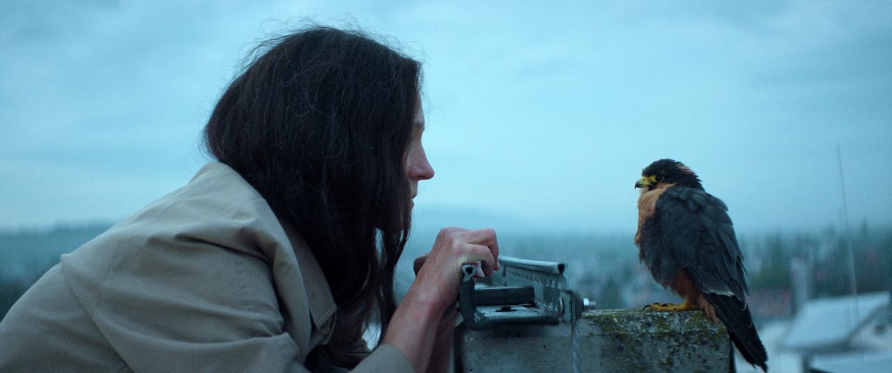 Chaos und Stille : Bild