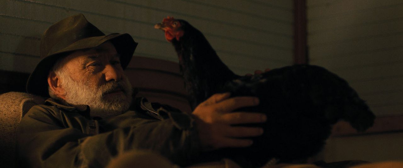 Lebensansichten eines Huhns : Bild