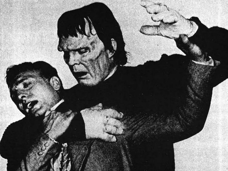 Frankenstein-Geschichten : Bild