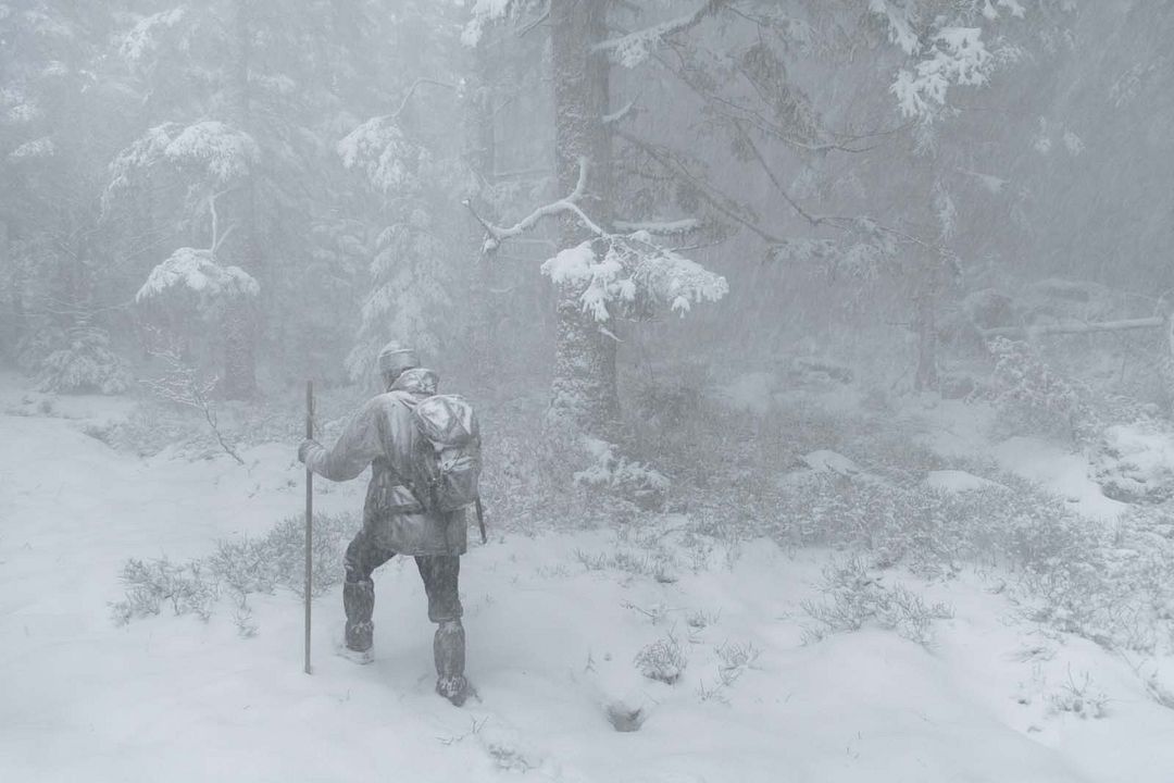 Das Flüstern der Wälder : Bild