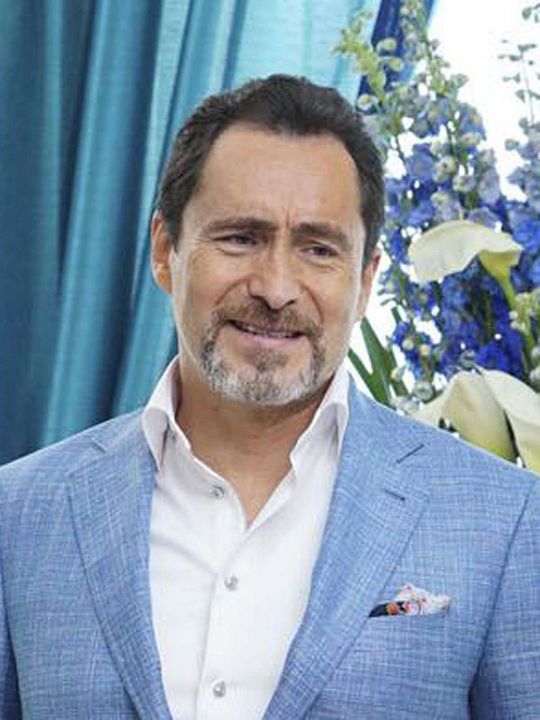 Kinoposter Demian Bichir