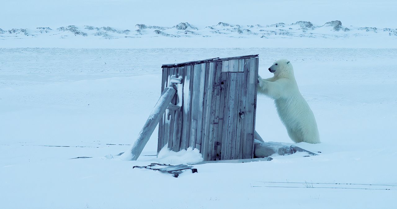 Frost ohne Schnee und Eis : Bild Snow 