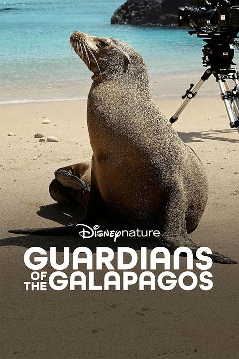 Hinter den Kulissen der Seelöwen auf Galapagos : Kinoposter