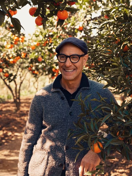 Stanley Tucci in Italien : Kinoposter