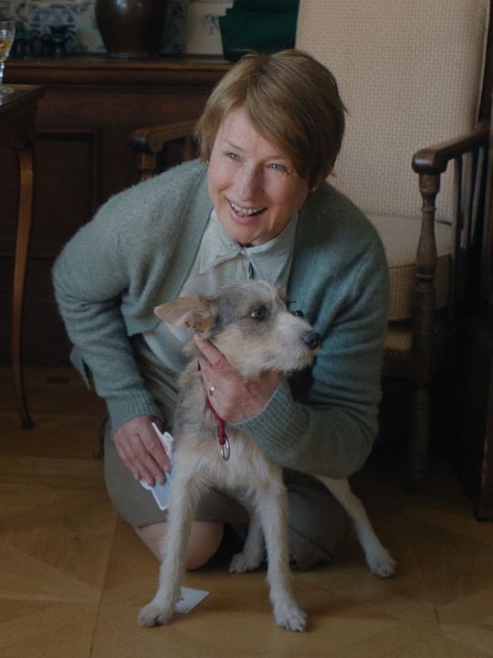 Kalter Hund : Kinoposter