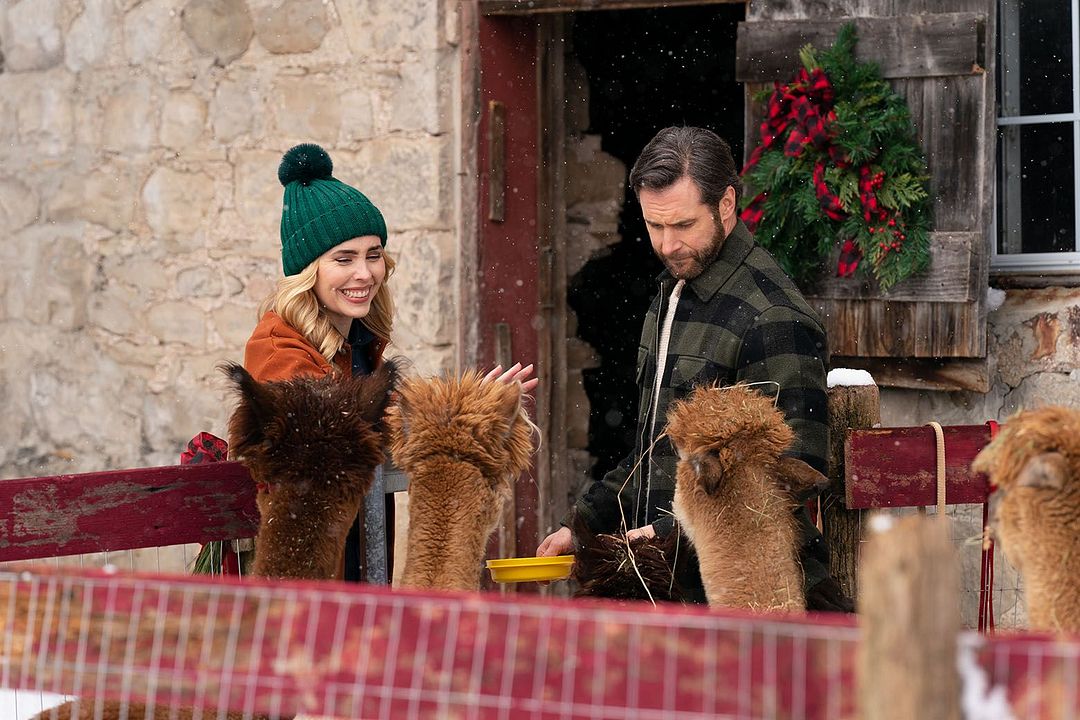 Weihnachten auf der Alpakafarm : Bild Kirsten Comerford, Matt Wells