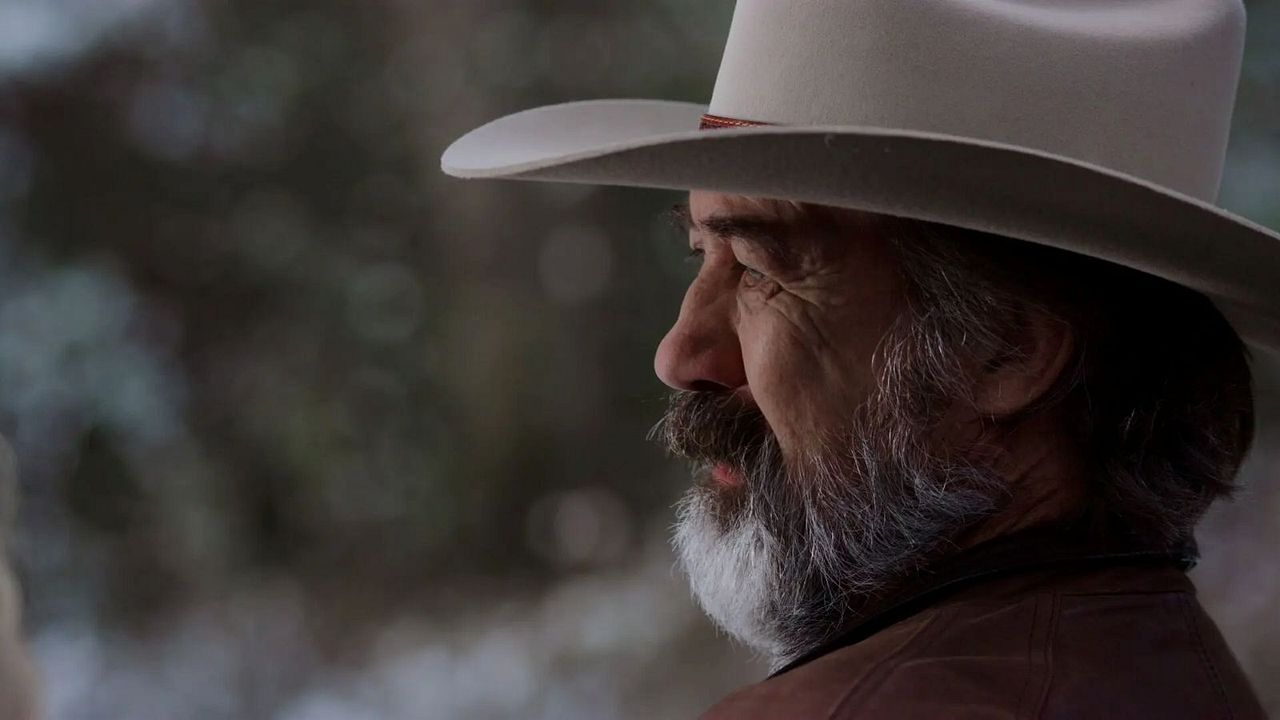 Mein Traum zu Weihnachten : Bild Shaun Johnston