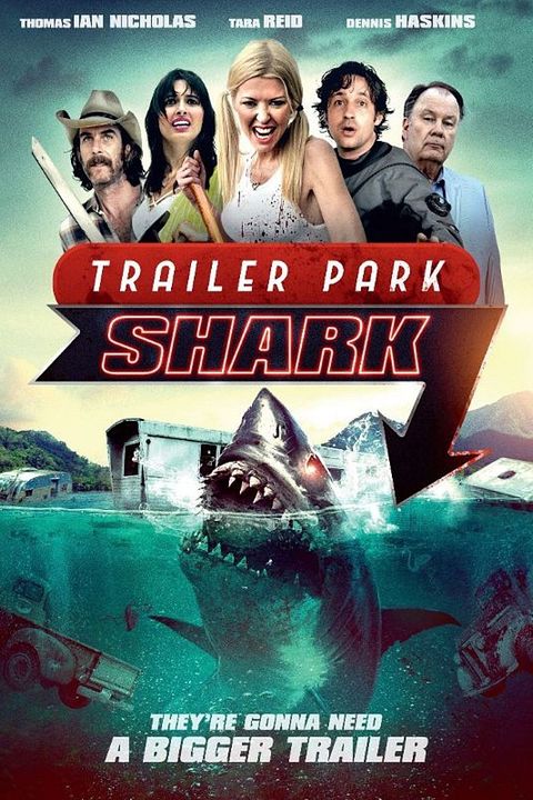 Shark Shock : Kinoposter