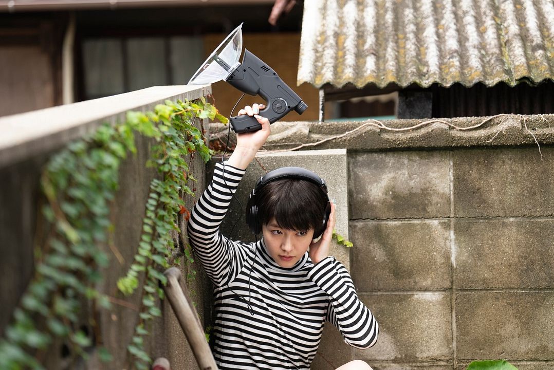 Sommerliche Zufälle  : Bild