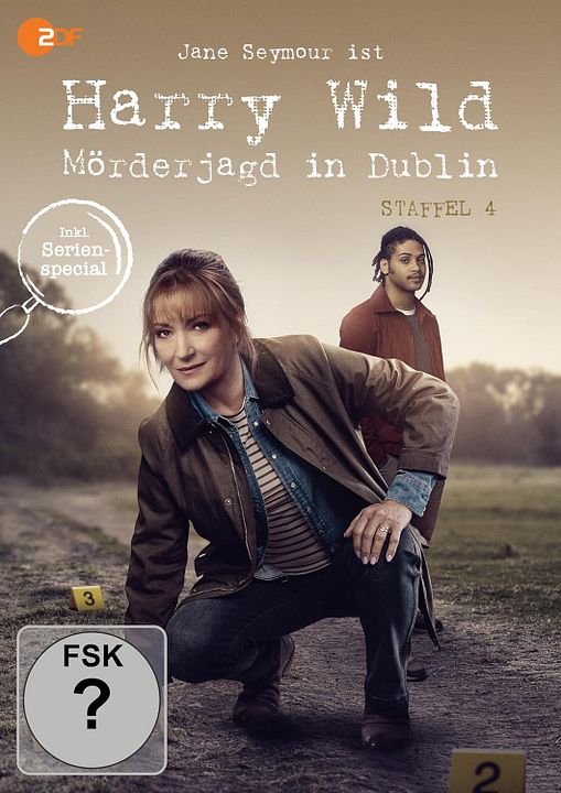 Harry Wild - Mörderjagd in Dublin : Kinoposter