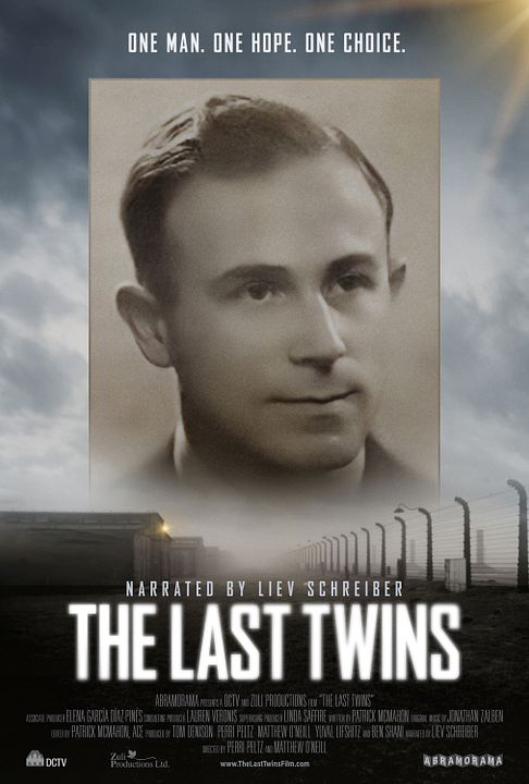The Last Twins : Kinoposter
